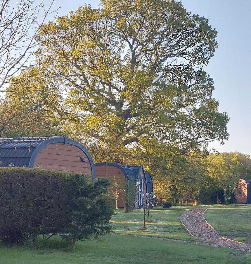 Oak Lodge Pods Lowestoft Extérieur photo